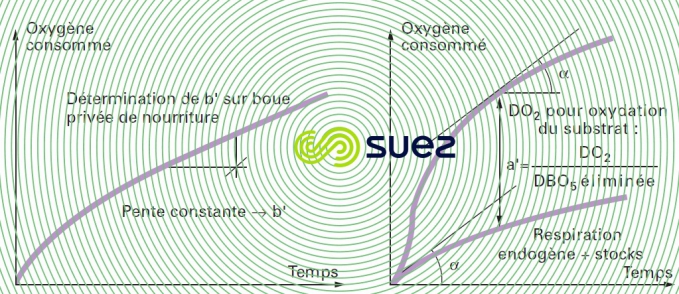 détermination Warburg coefficients respiratoires