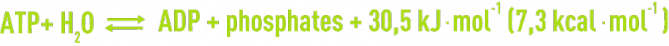 Formule : Substances nutritives -  libération énergie