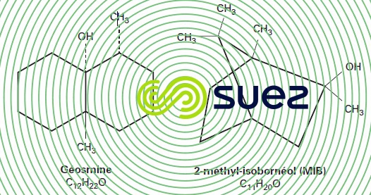 molécules géosmine méthyl-isobornéol