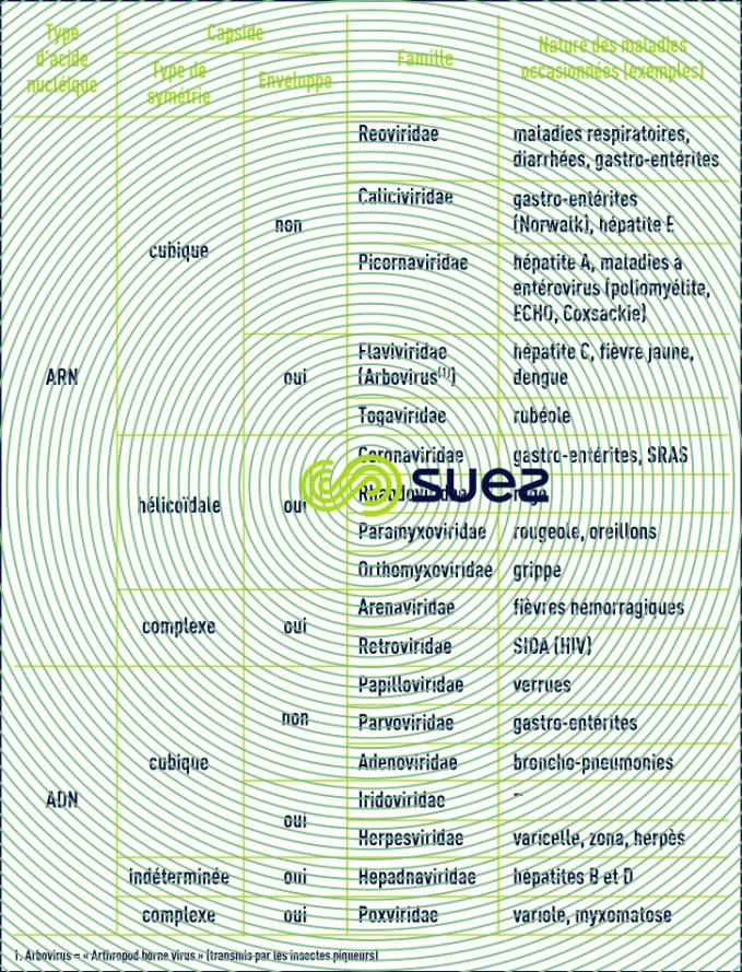 virus type d'acide nucléique