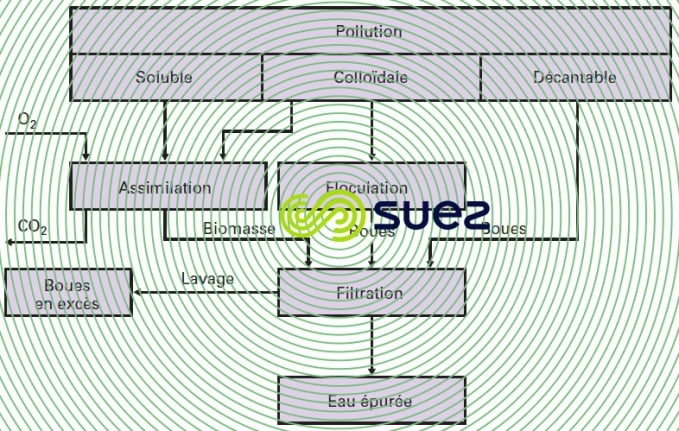 fonctionnement biofiltre