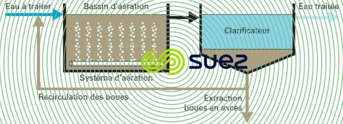 système boues activées