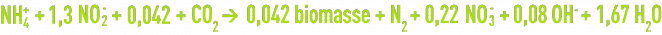 réaction Anammox