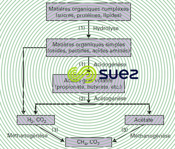 Dégradation matières organiques anaérobiose