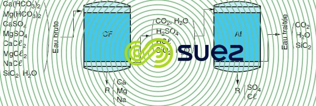 Déminéralisation partielle