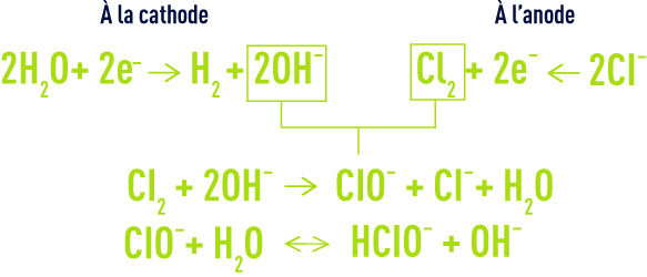 Formule : Electrochloration - réactions principales électrochimiques