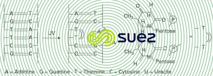Mécanisme action UV ADN