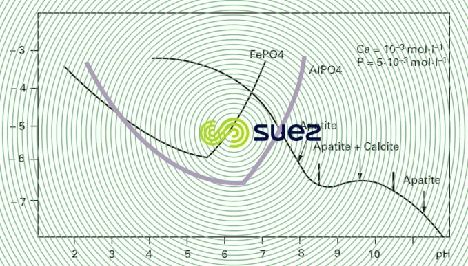 diagramme solubilités phosphates de Fe, Aℓ et Ca