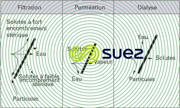 Mécanismes transfert membranes
