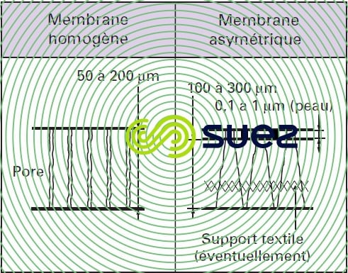 membranes homogènes asymétriques
