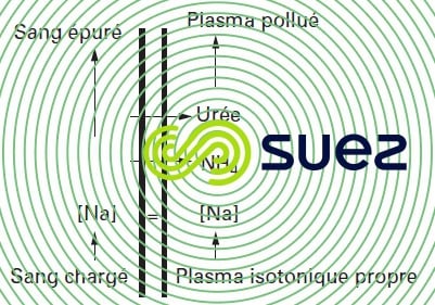 Principe hémodialyse