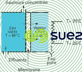 Distillation membranes