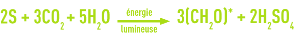 Formule : Cycle du souffre - transformation en acide sulfurique