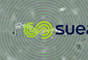 Thiospirillum x 1 000