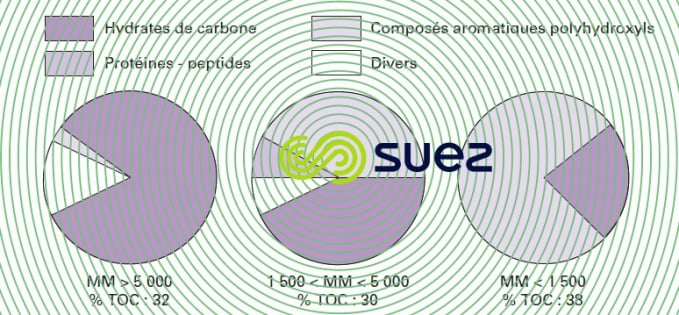 Carbone organique eau Seine
