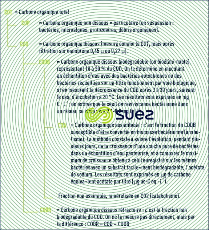 Formes carbone organique