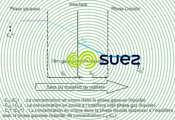 modèle double film Lewis et Whitman