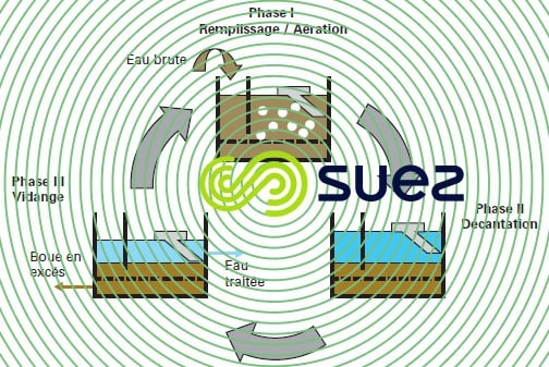 cyclor- phases cycle