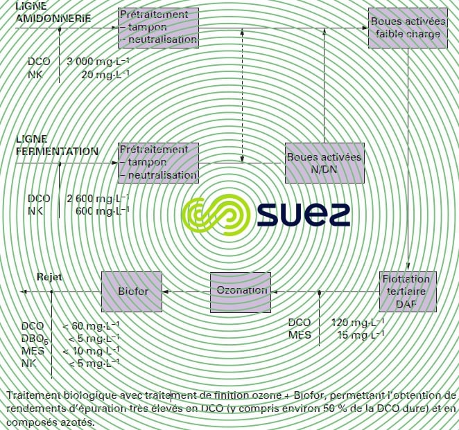 amidonnerie - glucoserie