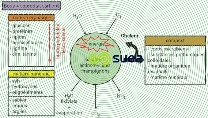 Evolution MO compostage