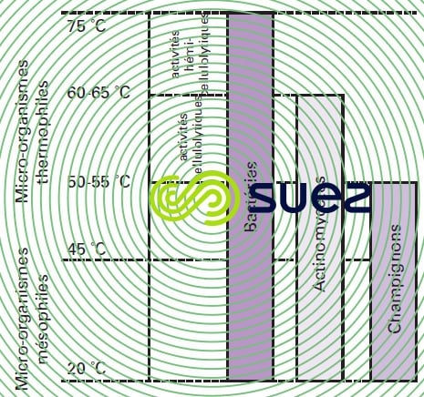 Micro-organismes actifs compostage