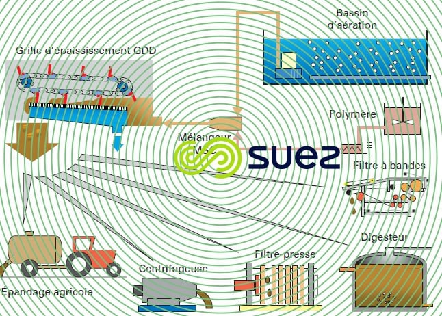 grille GDD filières