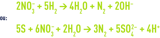 Formule : Les procédés biologiques de dénitrification - bactéries autotrophes